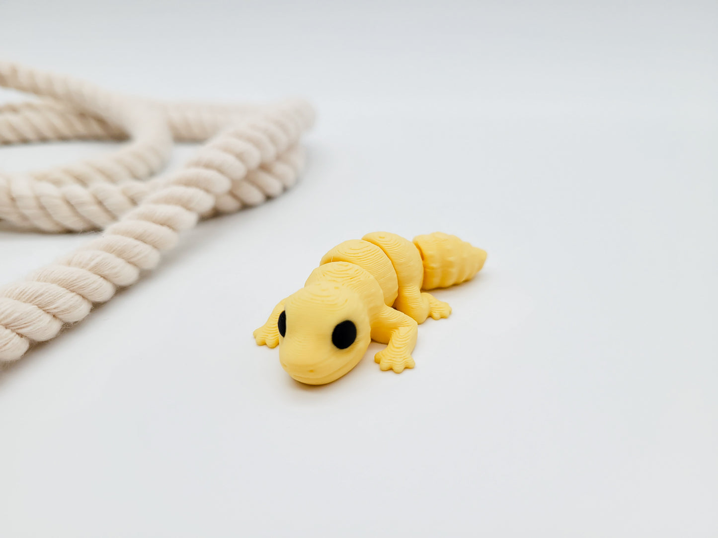 Gecko