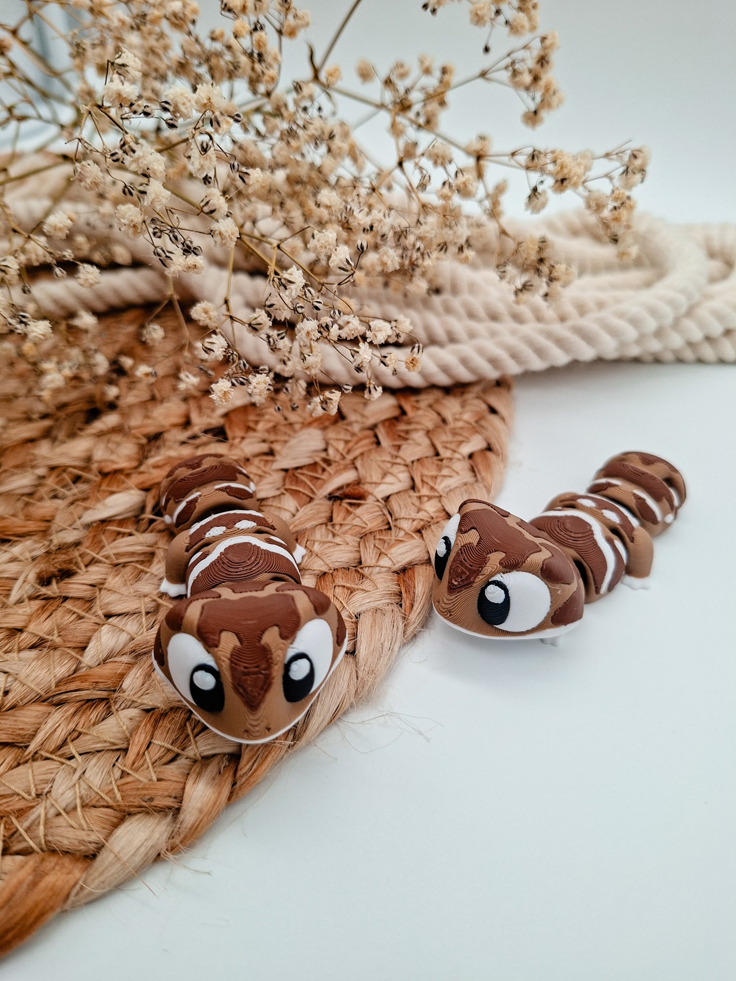 Gecko