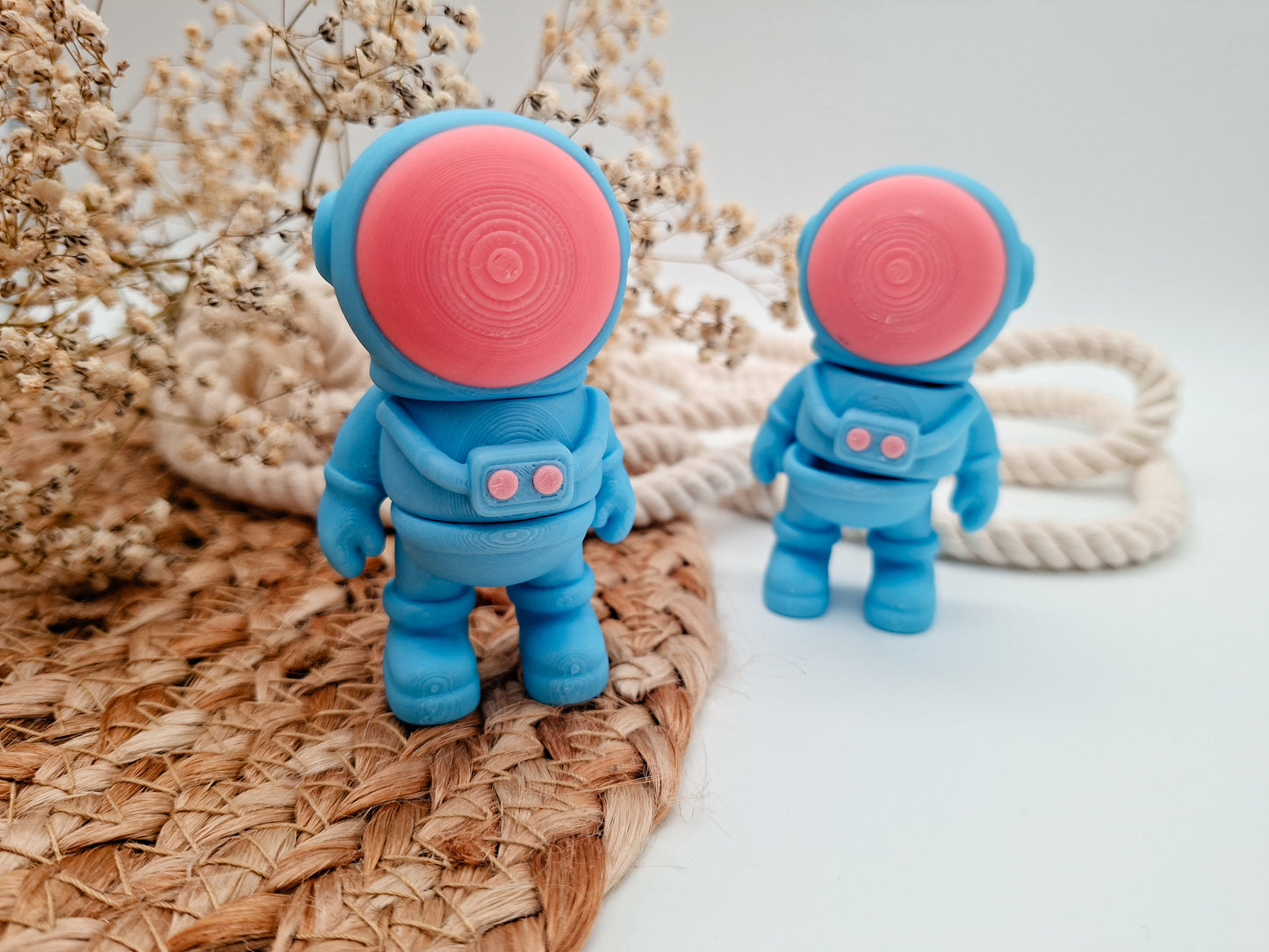 Astronaut