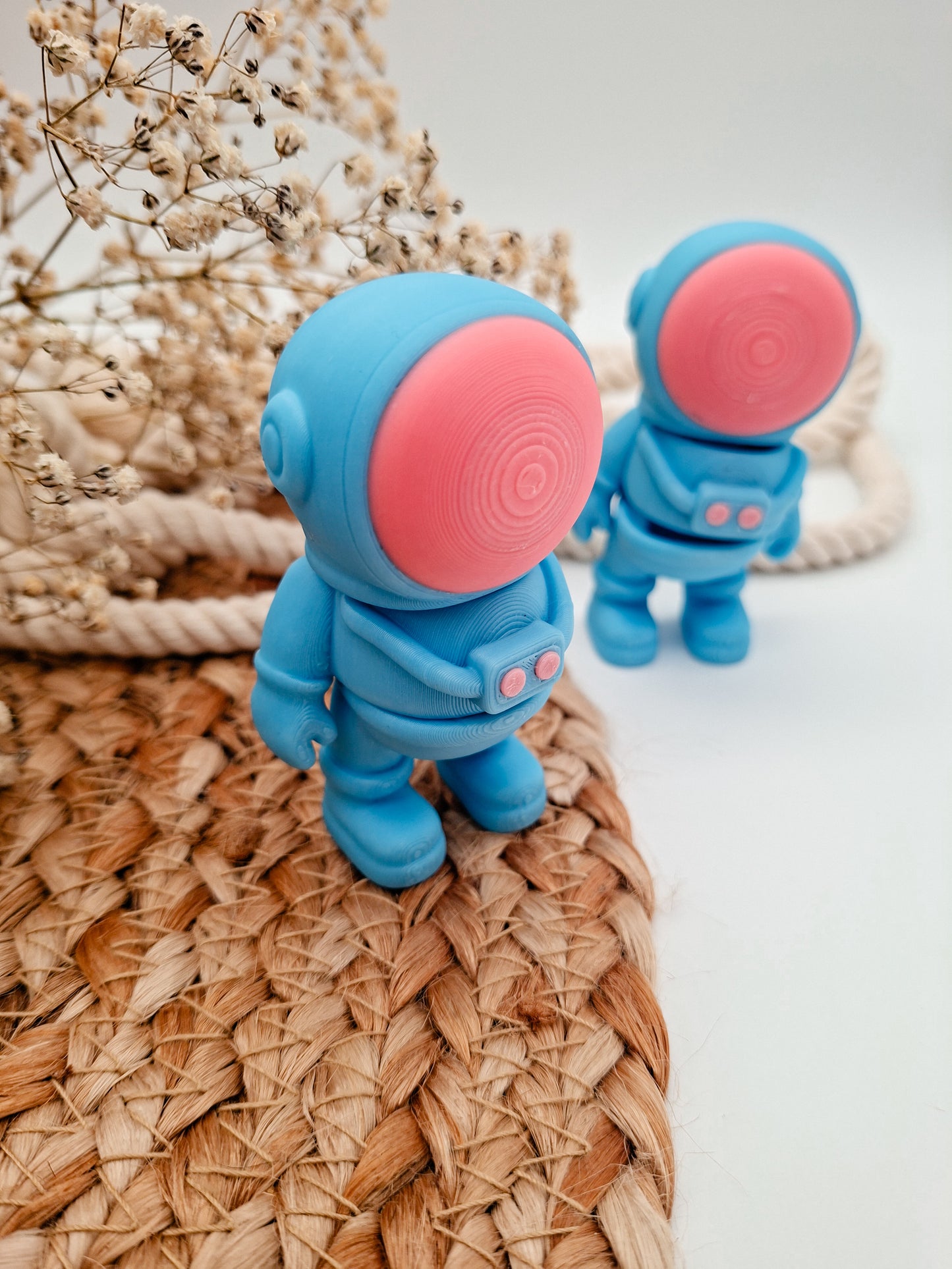 Astronaut