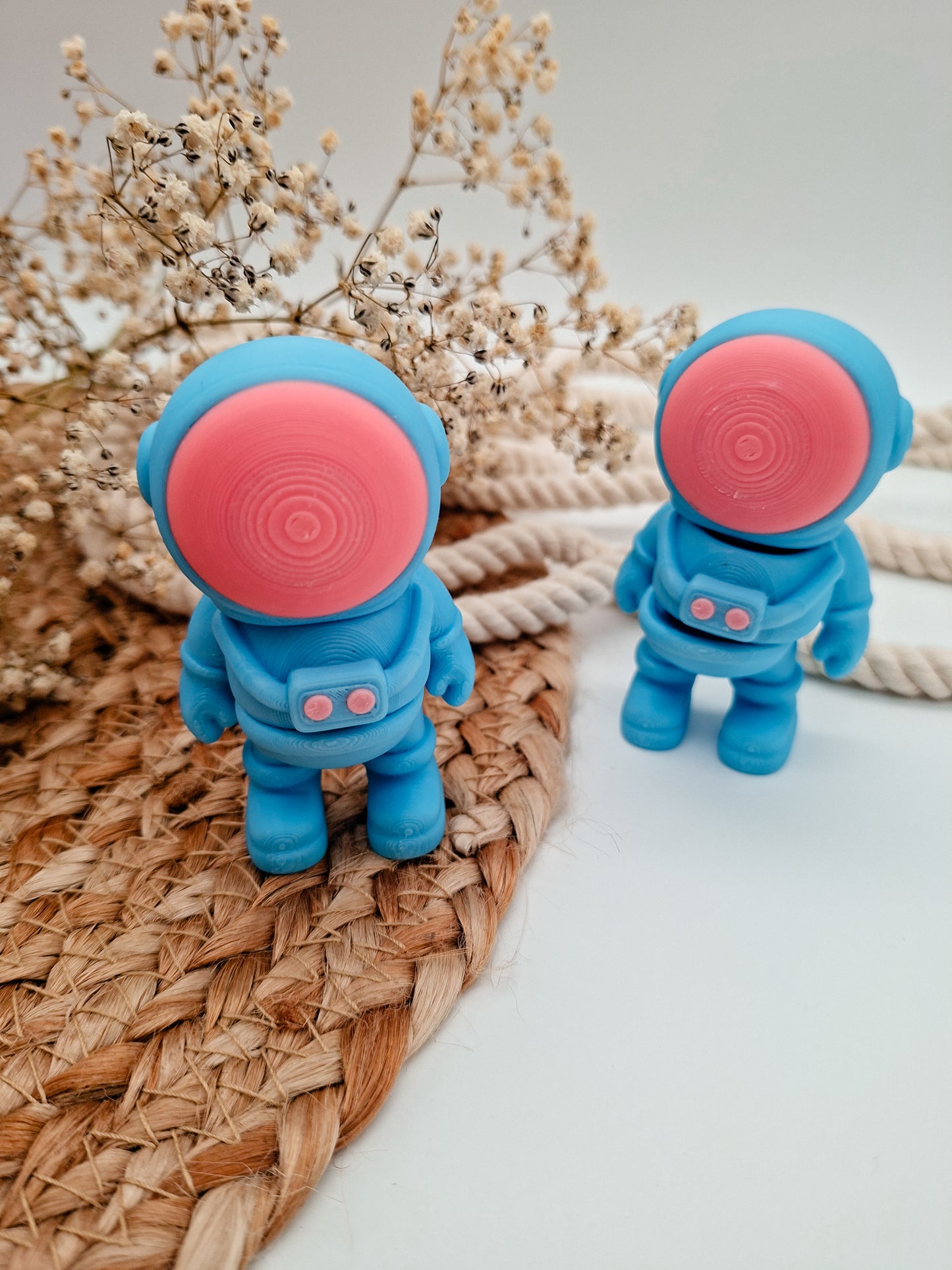 Astronaut
