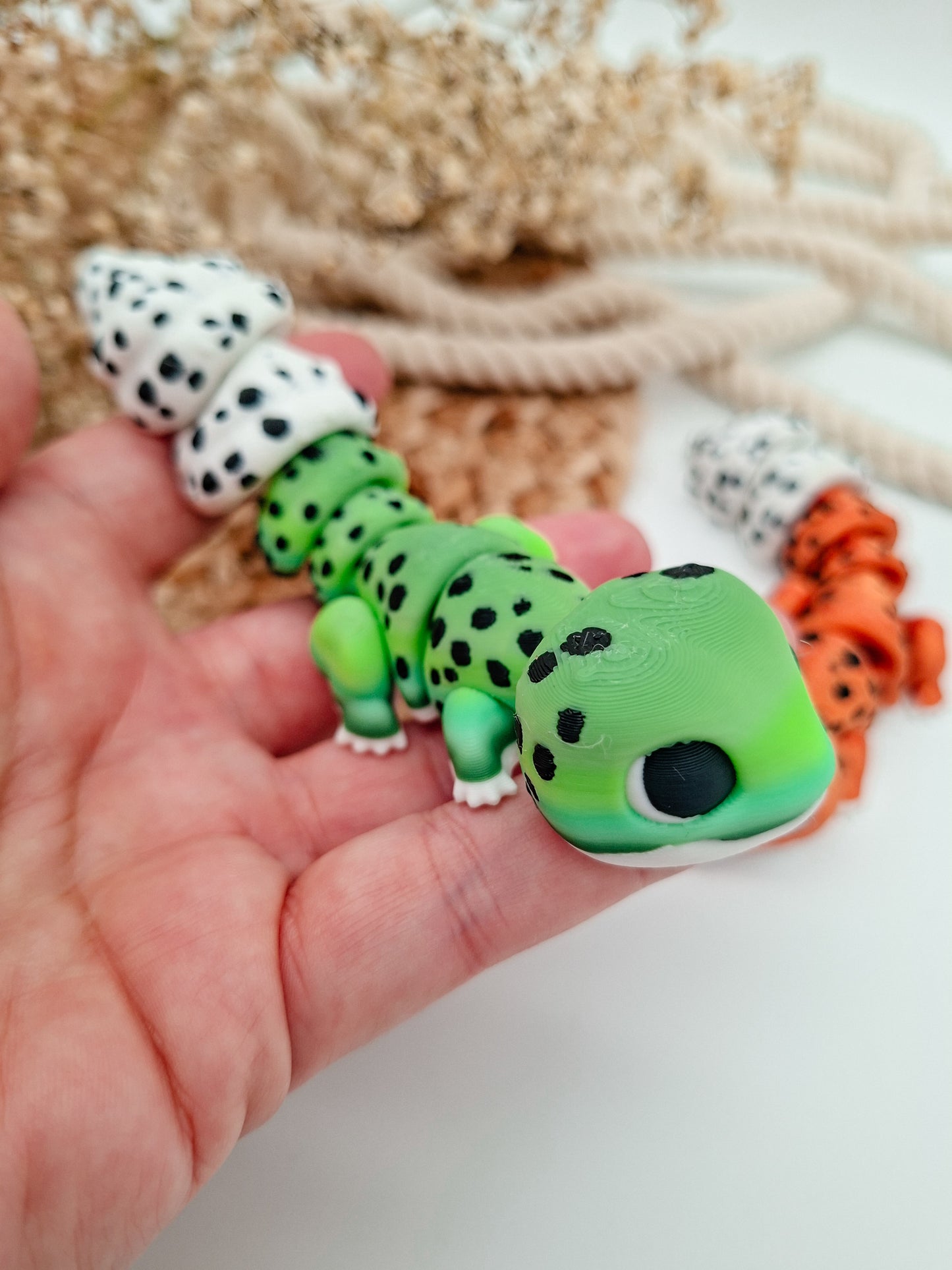 Leopardengecko
