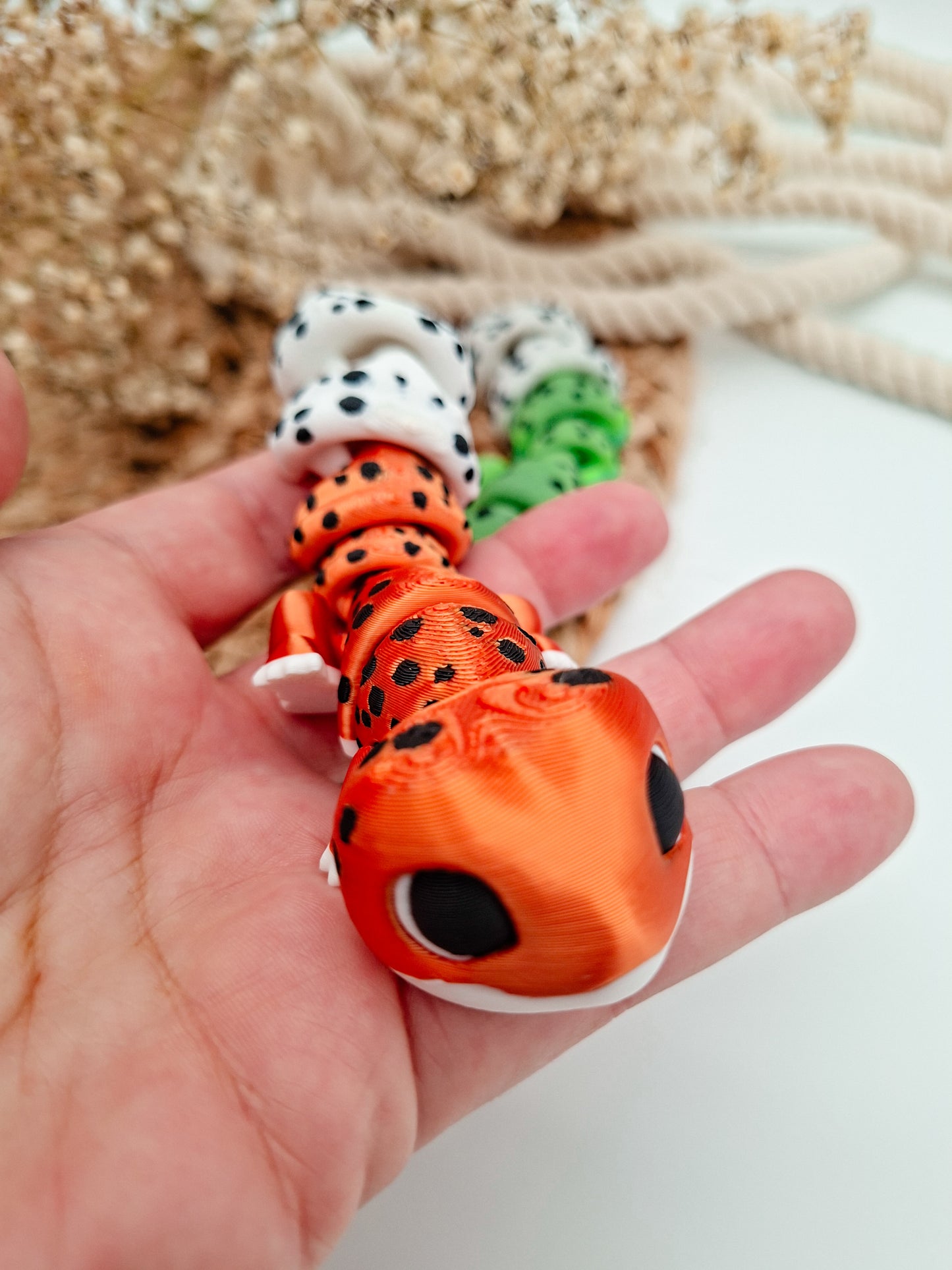 Leopardengecko