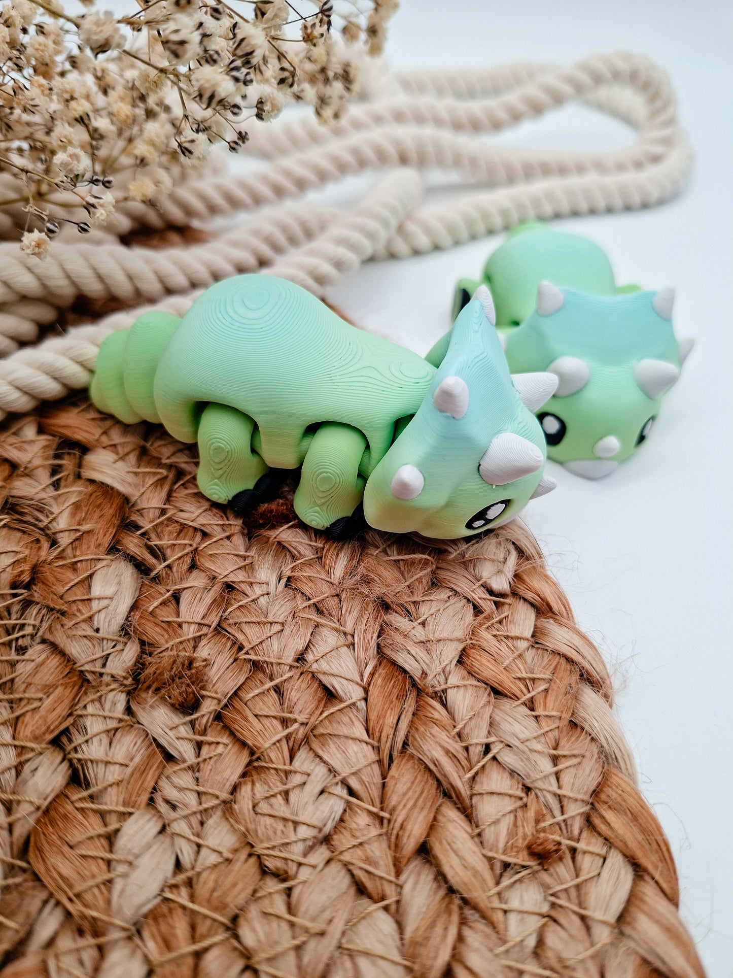 Triceratop