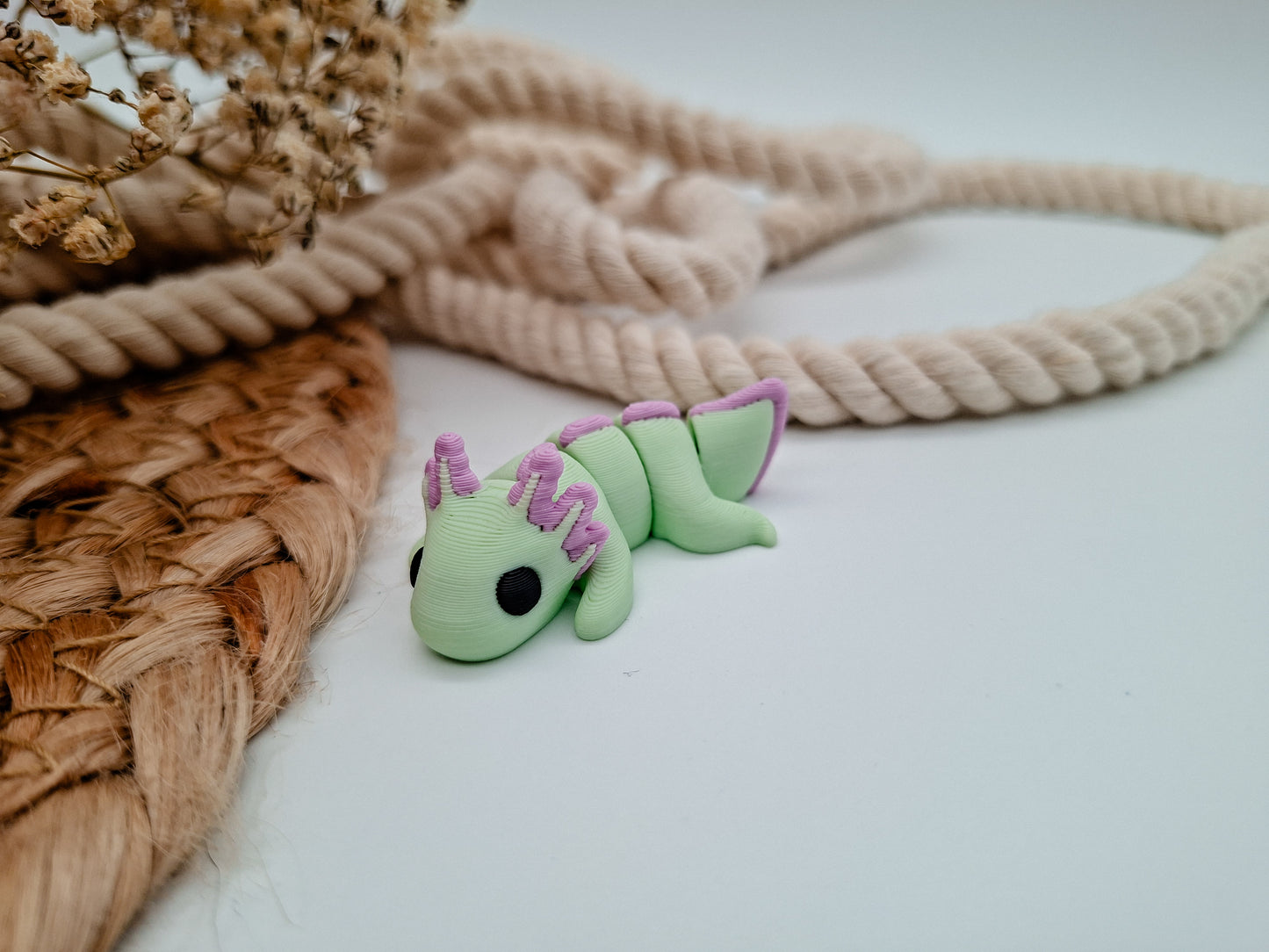 Axolotl
