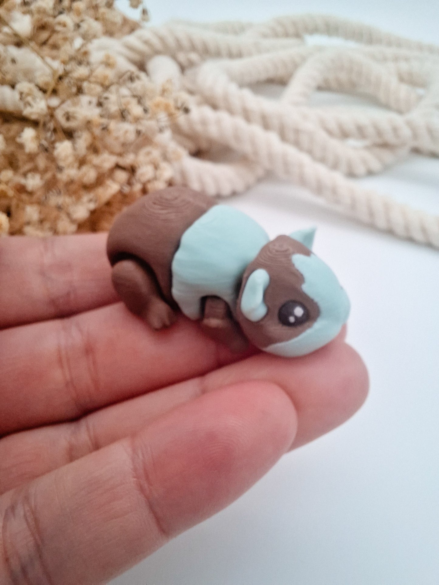 Meerschwein - dein wackeliger Mini-Begleiter