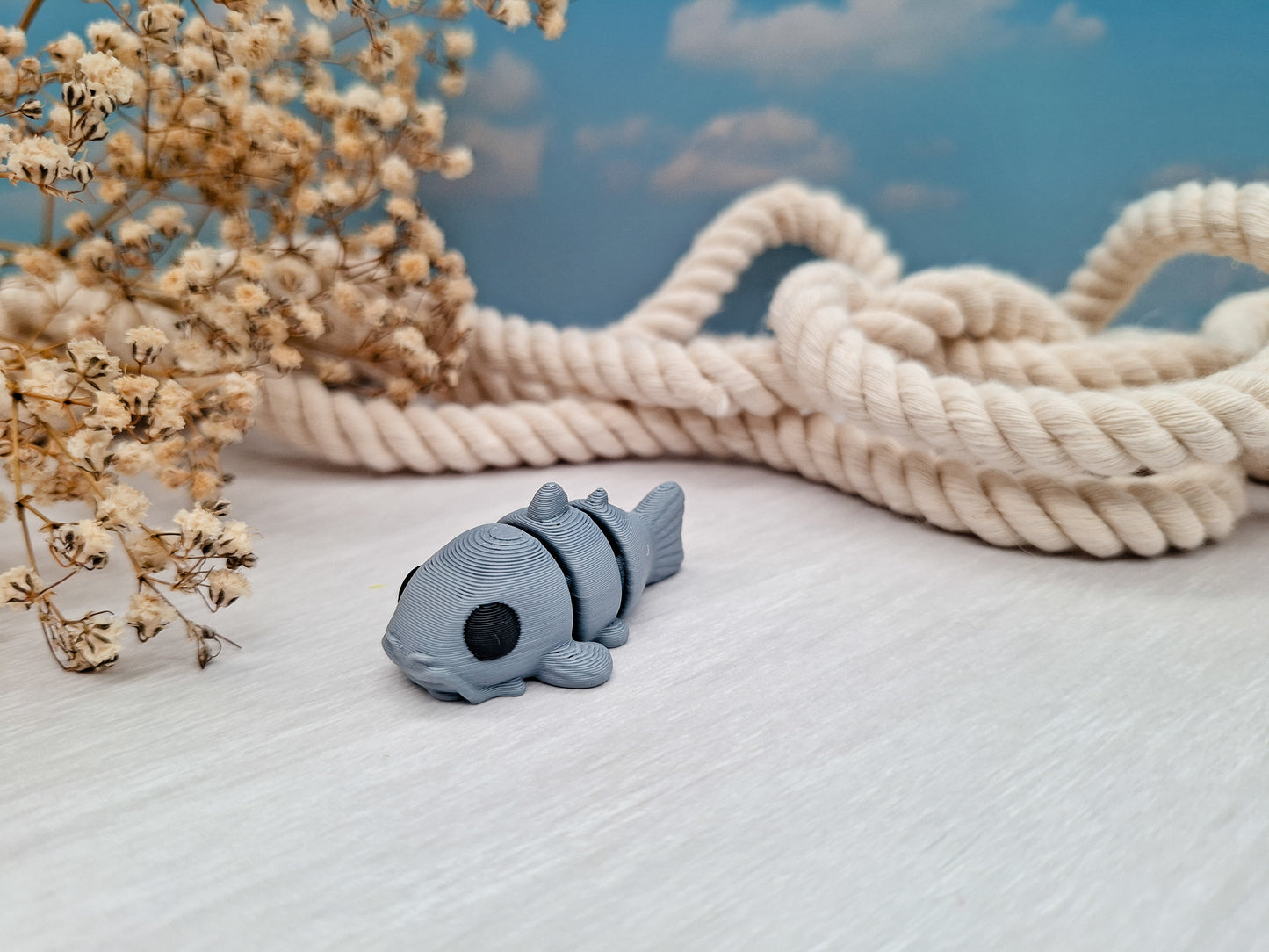 Katzenfisch - dein wackeliger Mini-Begleiter