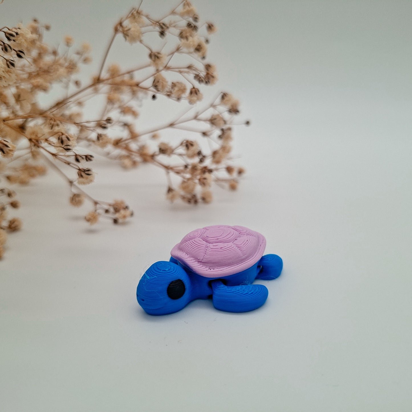 Jiggle Baby Schildkröte – Dein kleiner Glücksbringer