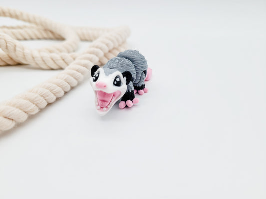Opossum