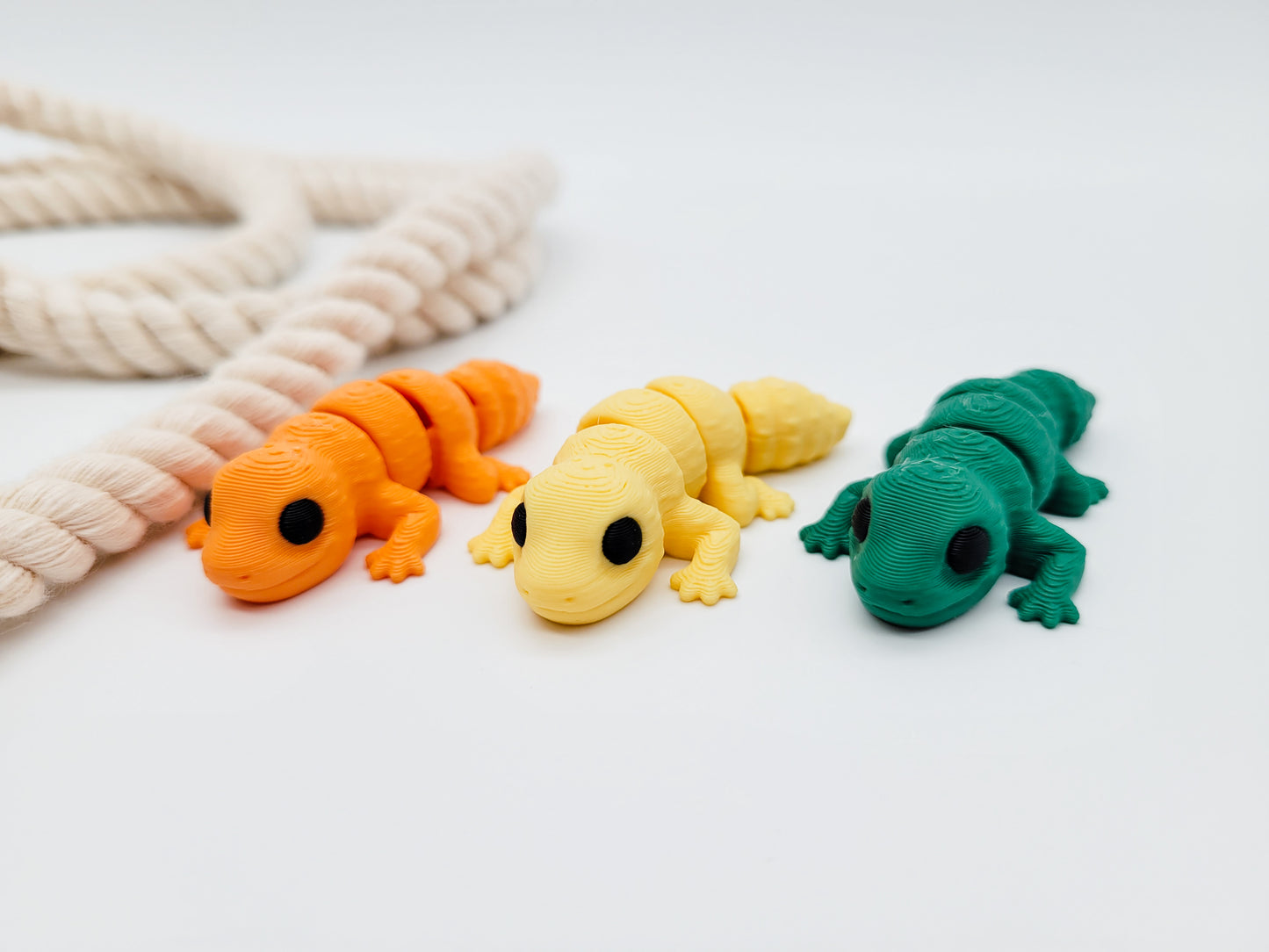 Gecko