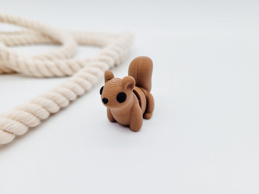 Eichhörnchen