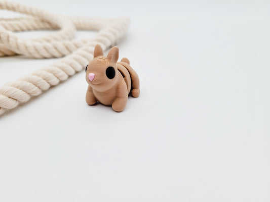 Hase