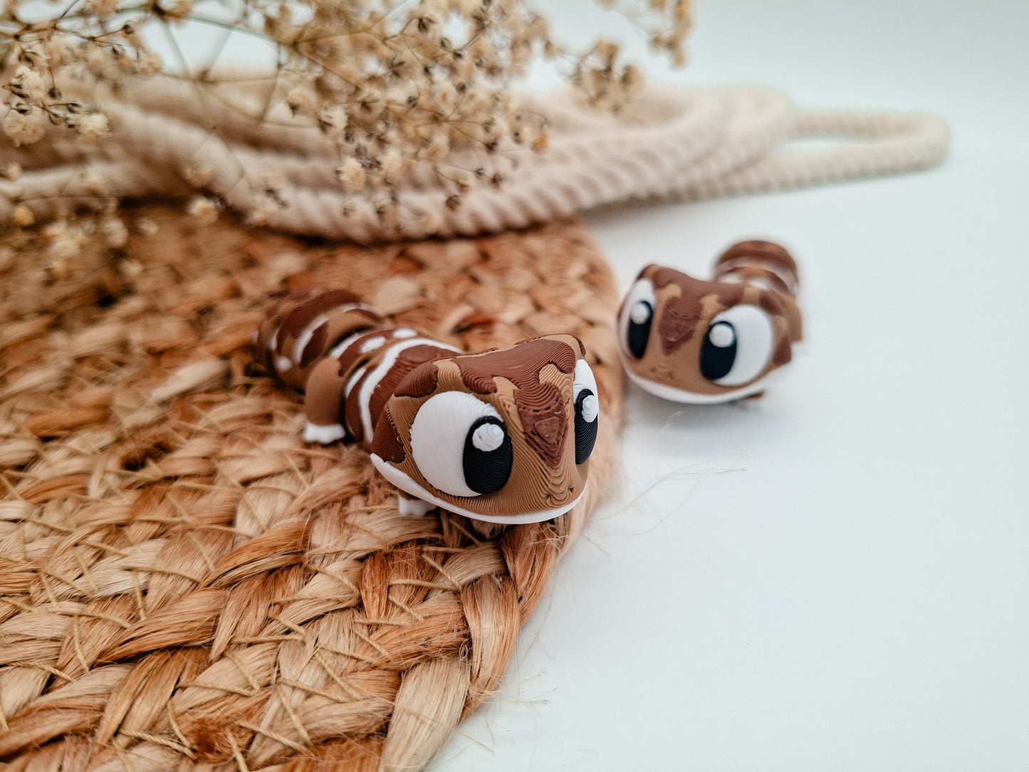 Gecko