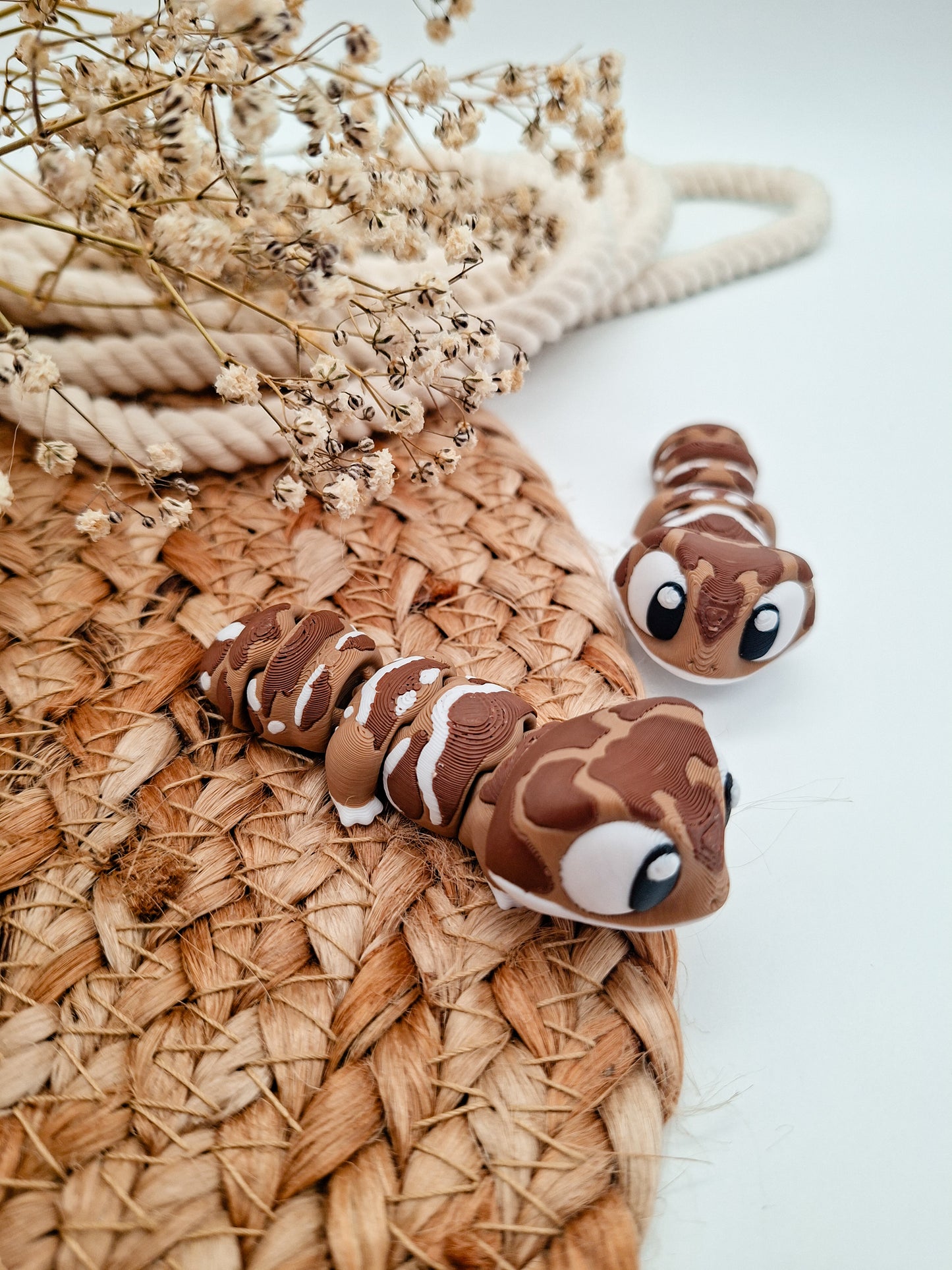 Gecko