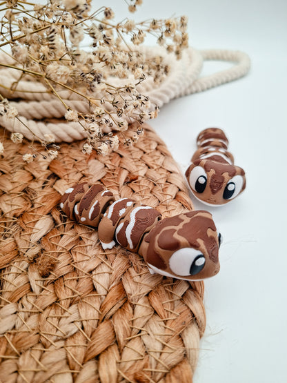 Gecko