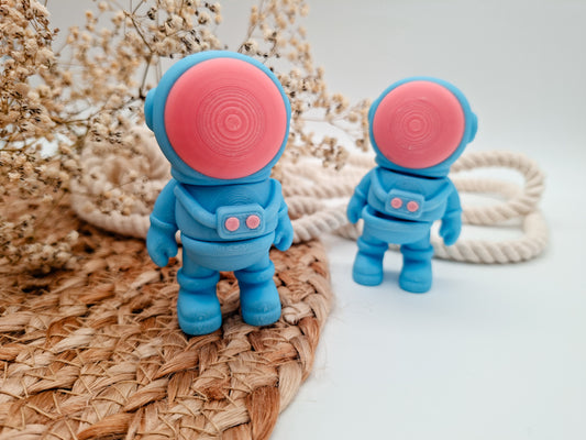 Astronaut