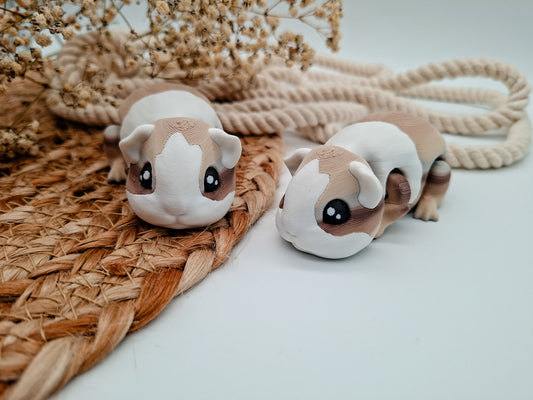 Flexi Meerschweinchen