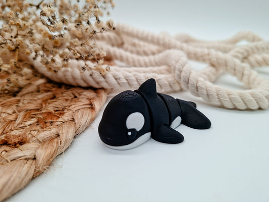 Orca