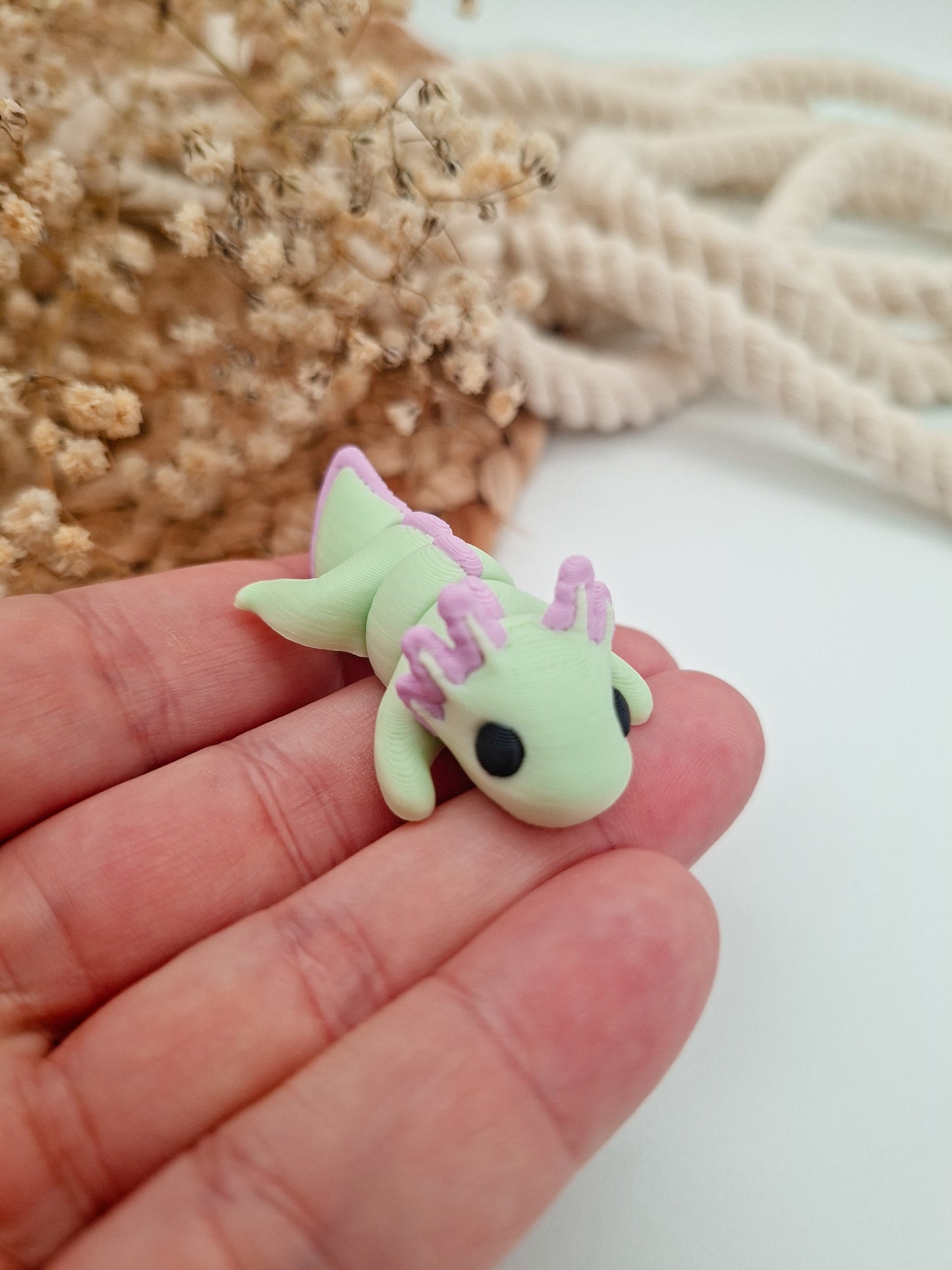 Axolotl