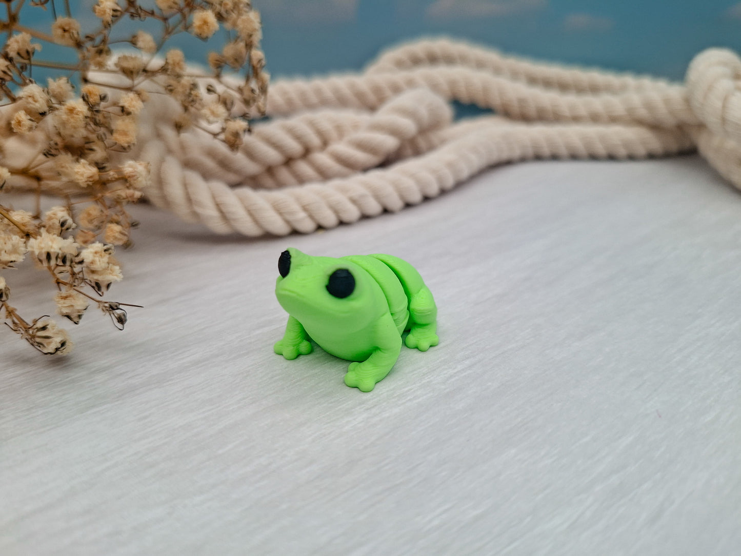 Frosch - dein wackeliger Mini-Begleiter