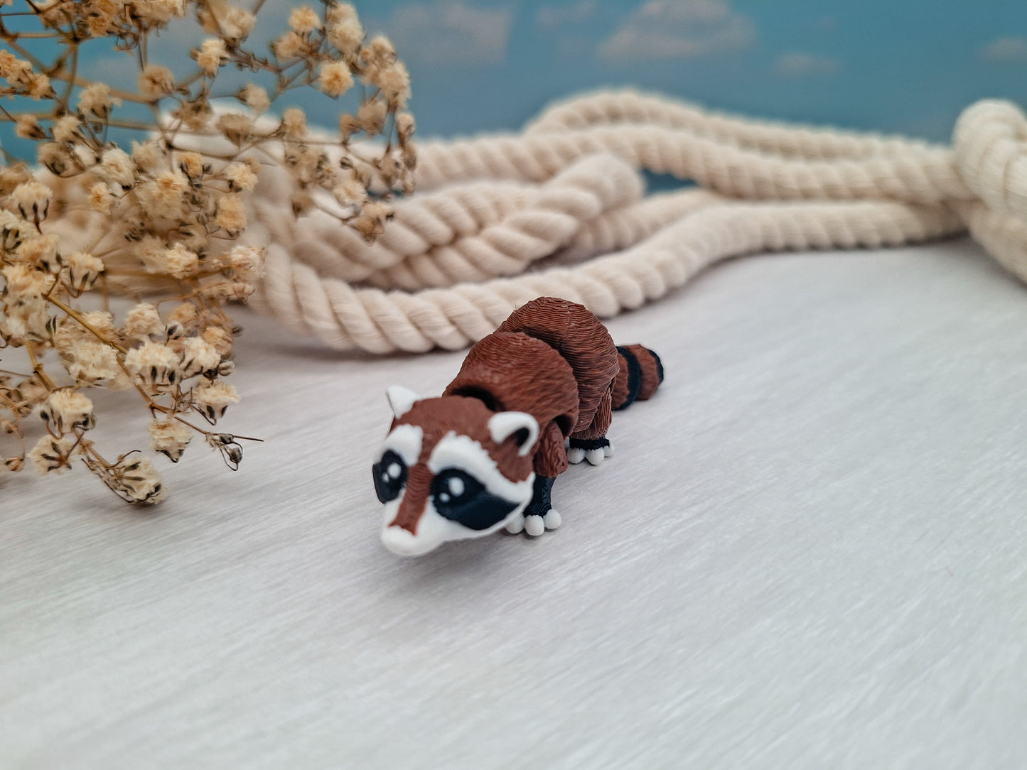 Waschbär - dein wackeliger Mini-Begleiter