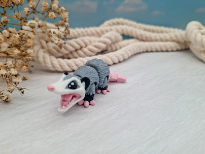 Opossum - dein wackeliger Mini-Begleiter