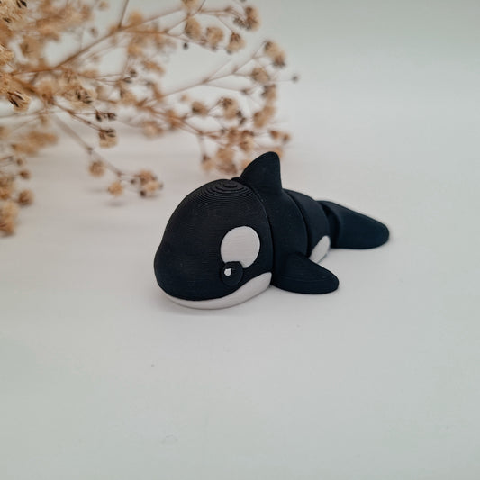 Jiggle Orca - Dein kleiner Glücksbringer