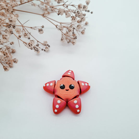 Jiggle Baby Seestern - Dein kleiner Wackelheld