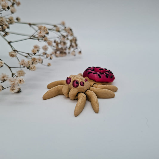 Jiggle Donut Spinne - Dein kleiner Wackelheld