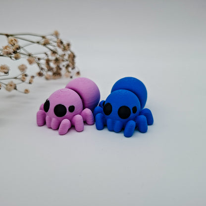 Jiggle Baby Spinne – Bunter Wackelfreund