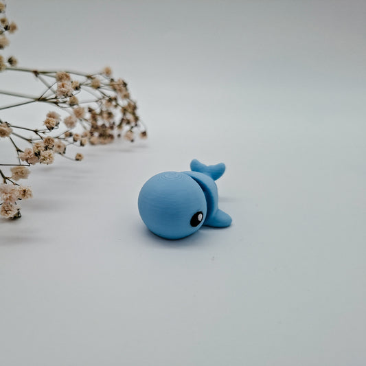 Jiggle Baby Wal - Bunter Wackelfreund