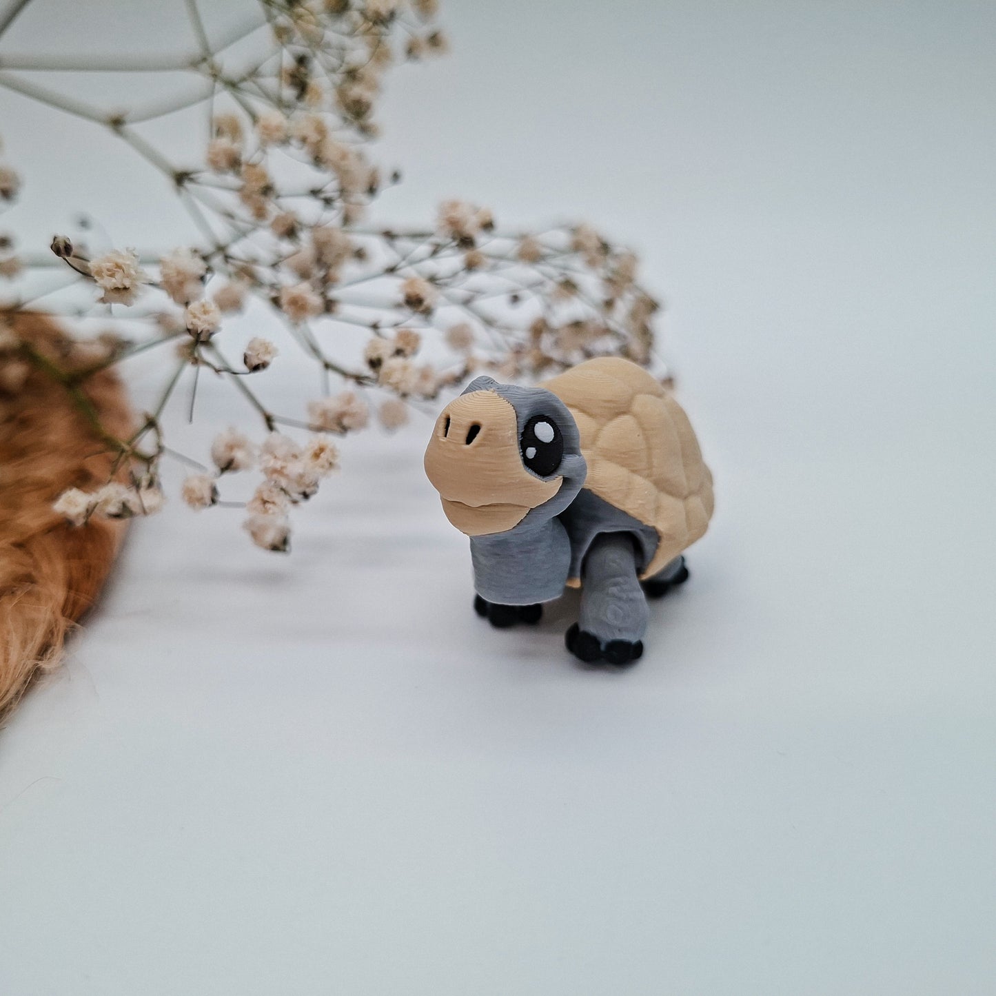 Coco Schildkröte | Hanii Sammelfigur