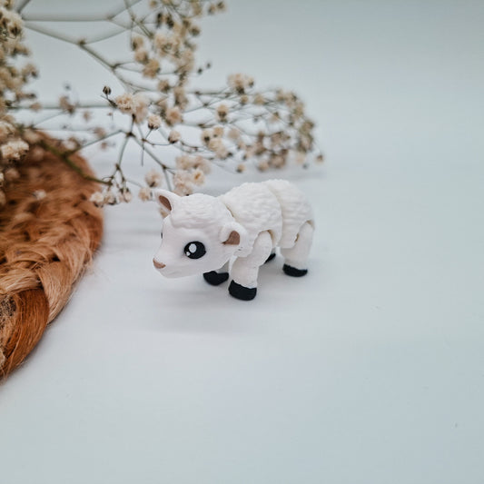 Timo Schaf | Hanii Sammelfigur